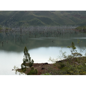 照片 新喀里多尼亚(New Caledonia) 蓝河公园(Parc de la Riviere Bleue) 2010-05 24