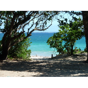 照片 斐济(Fiji) 2010-05 57