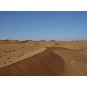 照片 阿联酋(United Arab Emirates) 迪拜至艾因公路(Dubai to Al Ain road) 2005-03 68