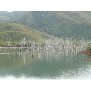 照片 新喀里多尼亚(New Caledonia) 蓝河公园(Parc de la Riviere Bleue) 2010-05 74