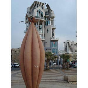 照片 以色列(Israel) 特拉维夫(Tel Aviv) 特拉维夫海岸(Tel Aviv Sea Shore) 2006-12 133