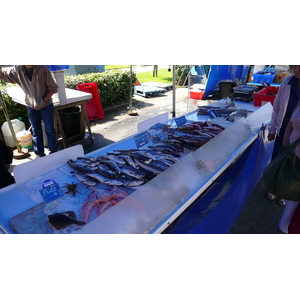 照片 法国(France) 普雷法耶(Prefailles) 普雷法耶集市(Market in Prefailles) 2007-07 0