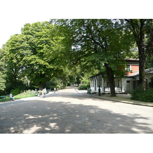 照片 法国(France) 巴黎(Paris) 肖蒙山丘公园(Parc des Buttes Chaumont) 2007-08 235