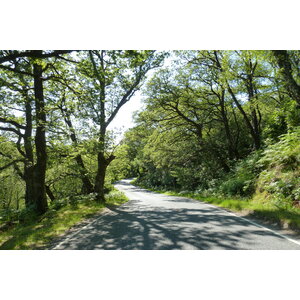 照片 英国(United Kingdom) 苏格兰(Scotland) 萨伦(Salen) 2011-07 64
