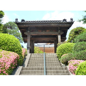 照片 日本(Japan) 东京(Tokyo) 芝公园(Shiba Park) 2010-06 40