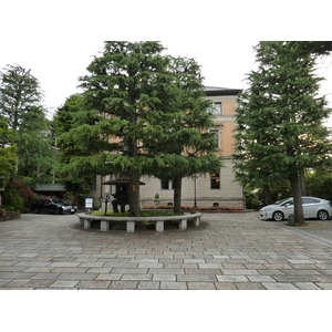 照片 日本(Japan) 京都(Kyoto) 八坂神社(Yasaka Shrine) 2010-06 17
