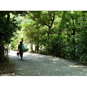 照片 日本(Japan) 东京(Tokyo) 根津美术馆(Nezu Museum) 2010-06 99