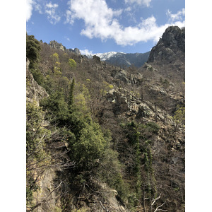 照片 法国(France) 卡尼古圣马丁修道院(Abbaye Saint Martin du Canigou) 2018-04 116