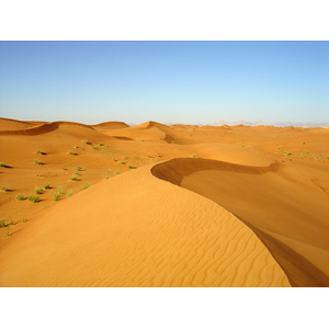 照片 阿联酋(United Arab Emirates) 迪拜至艾因公路(Dubai to Al Ain road) 2005-03 4