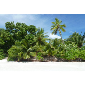 照片 塞舌尔(Seychelles) 2011-10 155
