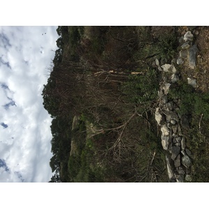 照片 法国(France) 科西嘉岛(Corsica) 托克斯(Tox) 2017-09 13