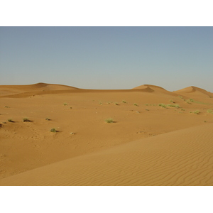 照片 阿联酋(United Arab Emirates) 迪拜至艾因公路(Dubai to Al Ain road) 2005-03 76