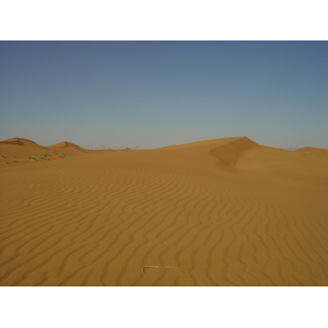 照片 阿联酋(United Arab Emirates) 迪拜至艾因公路(Dubai to Al Ain road) 2005-03 75