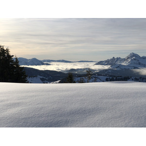照片 法国(France) 阿尔利河畔普拉(Praz sur Arly) 2019-12 138