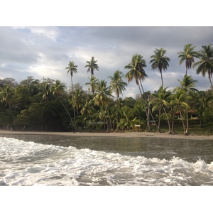 照片 哥斯达黎加(Costa Rica) 曼努埃尔安东尼奥(Manuel Antonio) 2015-03 97