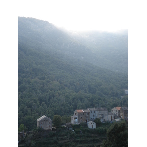 照片 法国(France) 科西嘉岛(Corsica) 阿莱萨尼山谷(Valle d'alesani) 2006-09 20