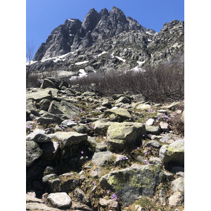 照片 法国(France) 科西嘉岛(Corsica) 梅洛湖和卡皮泰洛湖(Lac de Melo et Capitello) 2021-06 68