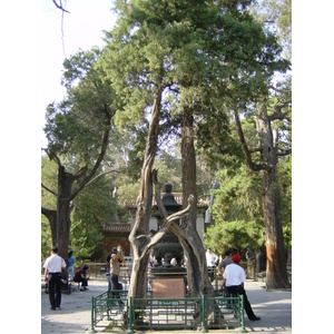 照片 中国(China) 北京(Beijing) 紫禁城(Forbidden City) 2002-05 199