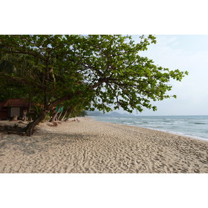 照片 泰国(Thailand) 象岛(Ko Chang) 白沙滩(White sand beach) 2011-02 7