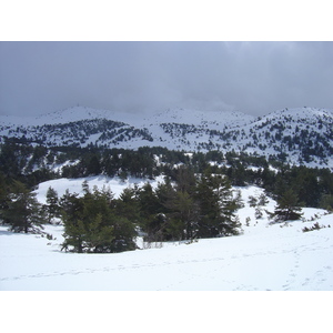 照片 法国(France) 格雷奥利耶(Greolieres) 2006-02 22