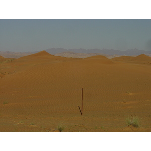 照片 阿联酋(United Arab Emirates) 迪拜至艾因公路(Dubai to Al Ain road) 2005-03 5