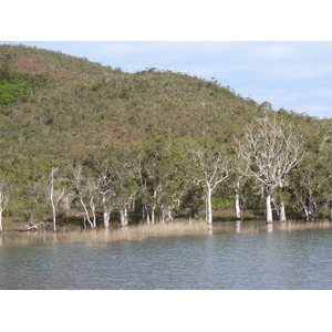 照片 新喀里多尼亚(New Caledonia) 蓝河公园(Parc de la Riviere Bleue) 2010-05 92