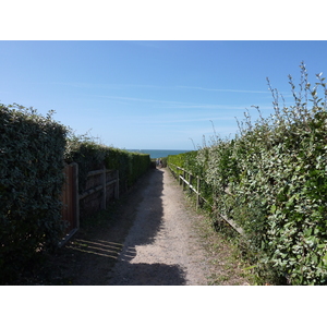 照片 法国(France) 滨海皮里亚克(Piriac sur mer) 2009-08 19