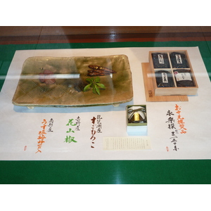 照片 日本(Japan) 食物模型(Plastic food) 2010-06 15