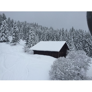 照片 法国(France) 梅杰夫(Megeve) 2016-02 123