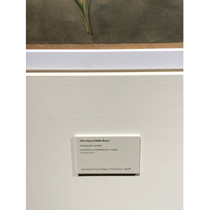 照片 意大利(Italy) 西西里岛(Sicily) 巴勒莫(Palermo) 诺曼王宫(Palazzo dei Normanni) 2020-02 131