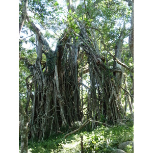 照片 斐济(Fiji) 塔武尼山堡(Tavuni Hill Fort) 2010-05 12