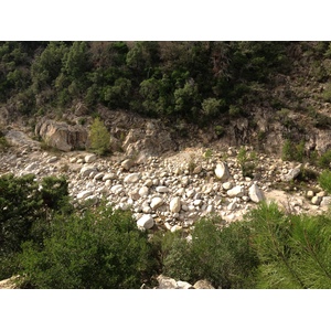 照片 法国(France) 科西嘉岛(Corsica) 索伦扎拉(Solenzara) 2012-09 16