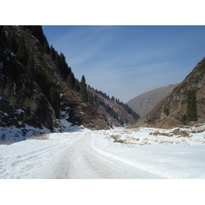 照片 哈萨克斯坦(Kazakhstan) 伊犁阿拉套国家公园(Ile Alatau National Park) 2007-03 84