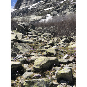 照片 法国(France) 科西嘉岛(Corsica) 梅洛湖和卡皮泰洛湖(Lac de Melo et Capitello) 2021-06 239