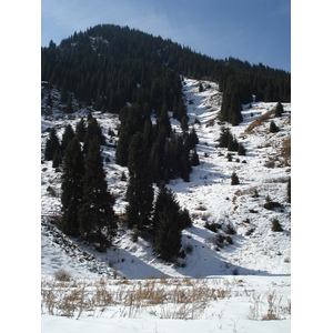 照片 哈萨克斯坦(Kazakhstan) 伊犁阿拉套国家公园(Ile Alatau National Park) 2007-03 71