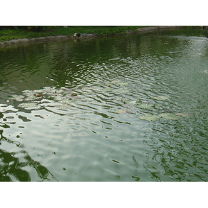 照片 泰国(Thailand) 考拉(Khao Lak) 考拉艾美酒店(Meridien Khao Lak Hotel) 2005-12 295