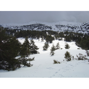 照片 法国(France) 格雷奥利耶(Greolieres) 2006-02 37