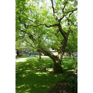 照片 英国(United Kingdom) 苏格兰(Scotland) 斯特灵(Stirling) 2011-07 158