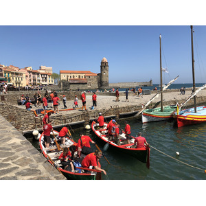照片 法国(France) 科利乌尔(Collioure) 2018-04 50
