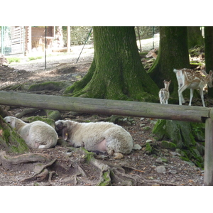 照片 意大利(Italy) 帕拉维奇诺别墅(Villa Pallavicino) 2009-06 45