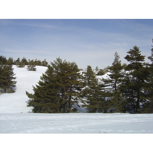 照片 法国(France) 格雷奥利耶(Greolieres) 2006-02 14