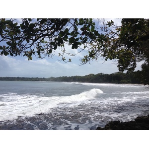 照片 哥斯达黎加(Costa Rica) 卡维塔(Cahuita) 2015-03 163