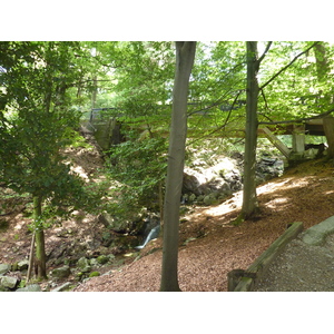 照片 意大利(Italy) 帕拉维奇诺别墅(Villa Pallavicino) 2009-06 56