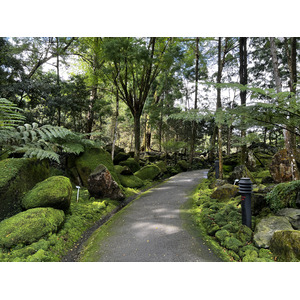 照片 新加坡(Singapore) 新加坡植物园(Singapore Botanic Gardens) 2023-01 0