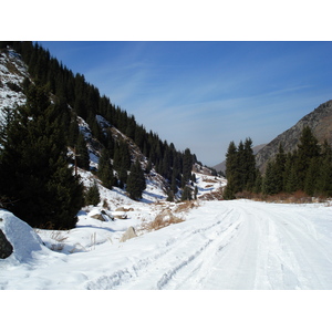 照片 哈萨克斯坦(Kazakhstan) 伊犁阿拉套国家公园(Ile Alatau National Park) 2007-03 63