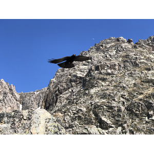照片 法国(France) 科西嘉岛(Corsica) 梅洛湖和卡皮泰洛湖(Lac de Melo et Capitello) 2021-06 178