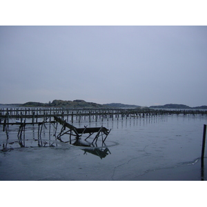 照片 瑞典(Sweden) 哥德堡(Gothenburg) 2003-01 18