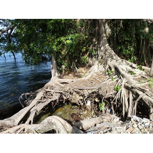 照片 泰国(Thailand) 象岛(Ko Chang) 2011-12 0