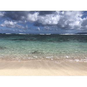 照片 瓜德罗普(Guadeloupe) 萨利讷大湾海滩(Grande Anse des Salines Beach) 2021-02 3