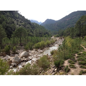 照片 法国(France) 科西嘉岛(Corsica) 索伦扎拉(Solenzara) 2012-09 22